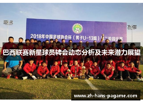 巴西联赛新星球员转会动态分析及未来潜力展望