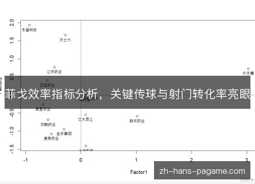菲戈效率指标分析,关键传球与射门转化率亮眼 菲戈效率指标分析,关键传球与射门转化率亮眼